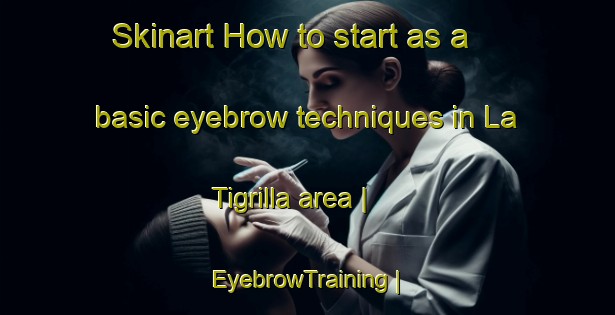 Skinart How to start as a basic eyebrow techniques in La Tigrilla area | EyebrowTraining | EyebrowClasses | SkinartTraining-Mexico